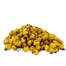 detail-uvarenej-zmesi-partiklu-bez-vody-krmivo-na-kapry-a-amury