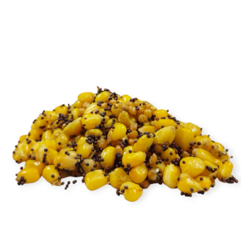 detail-uvarenej-zmesi-partiklu-bez-vody-krmivo-na-kapry-a-amury