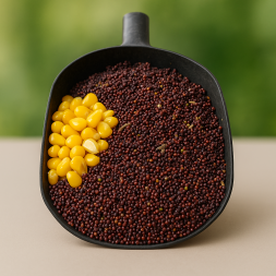 vareny-partikel-repka-olejna-15kg-30kg-bez-vody-carpmaster