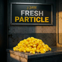 cerstvy-vareny-partikel-kukurica-natural-carpmaster-vedro