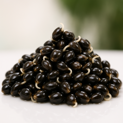 vakuovane-konopne-semienko-natural-1kg-carpmaster-partikel