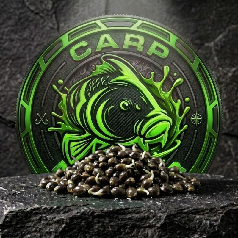 varene-konopne-semienko-natural-10kg-carpmaster-partikel
